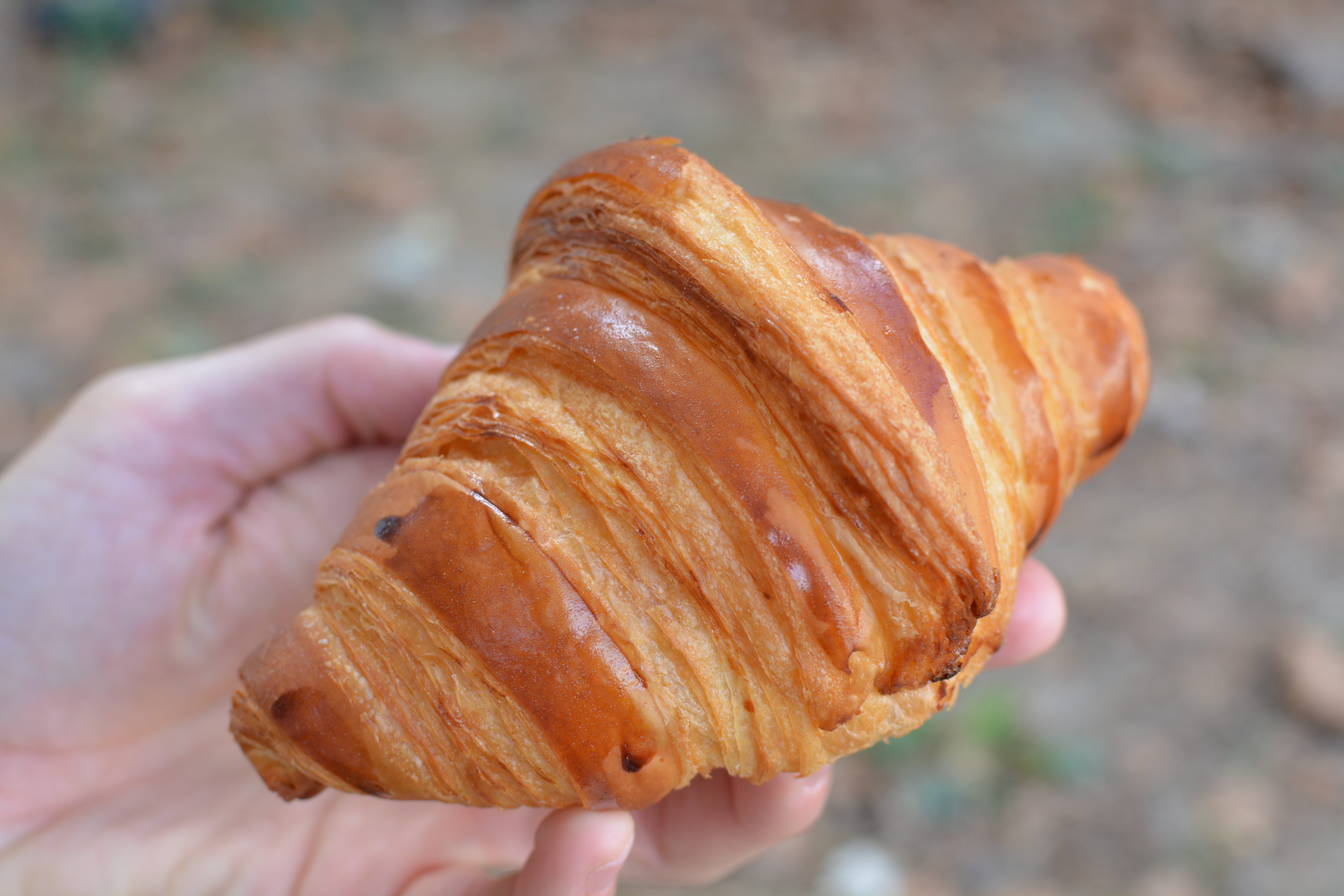 A croissant in a hand/https://leserialpatissteur.com